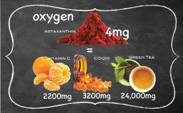 Antioxidant Comparison